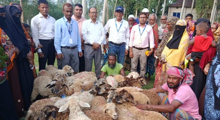 কুড়িগ্রামে ফ্রেন্ডশিপের উদ্যোগ: চরাঞ্চলের সুবিধাবঞ্চিত পরিবারে ৪২০টি ভেড়া বিতরণ শুরু